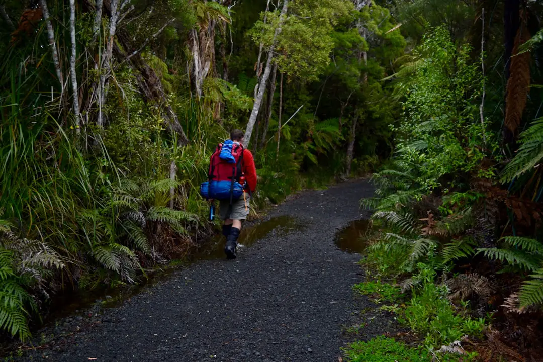 a man with a blue backpack walks down a path in the woods