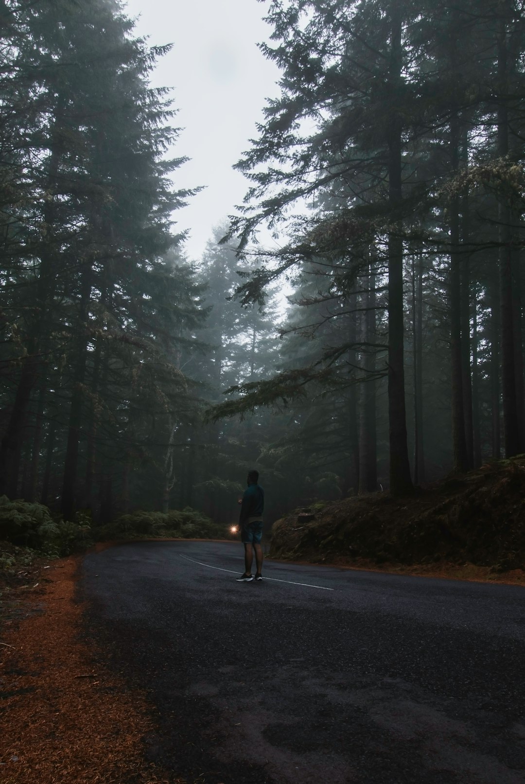 a person standing in the middle of a road surrounded by trees