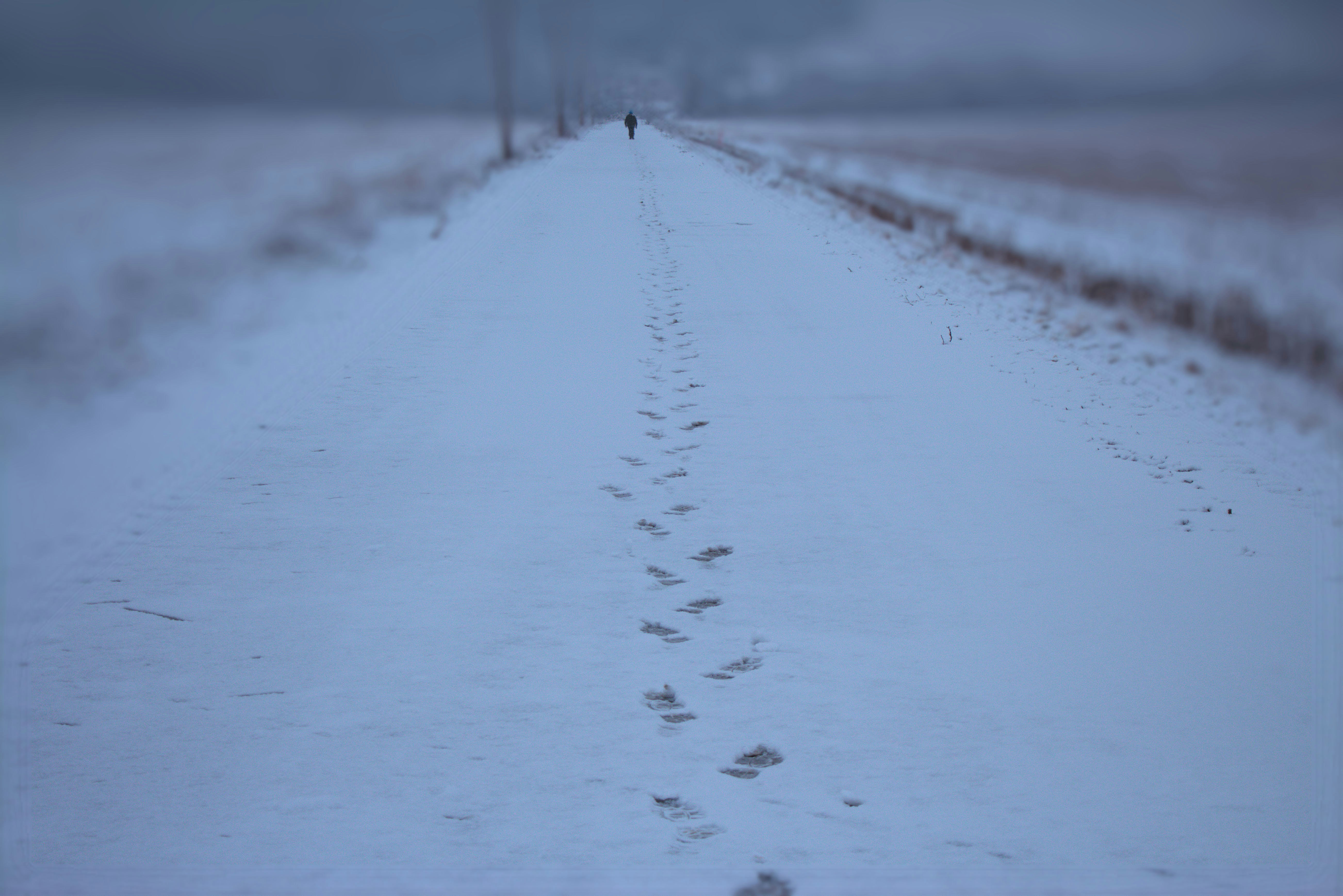 a person walking down a snow covered road