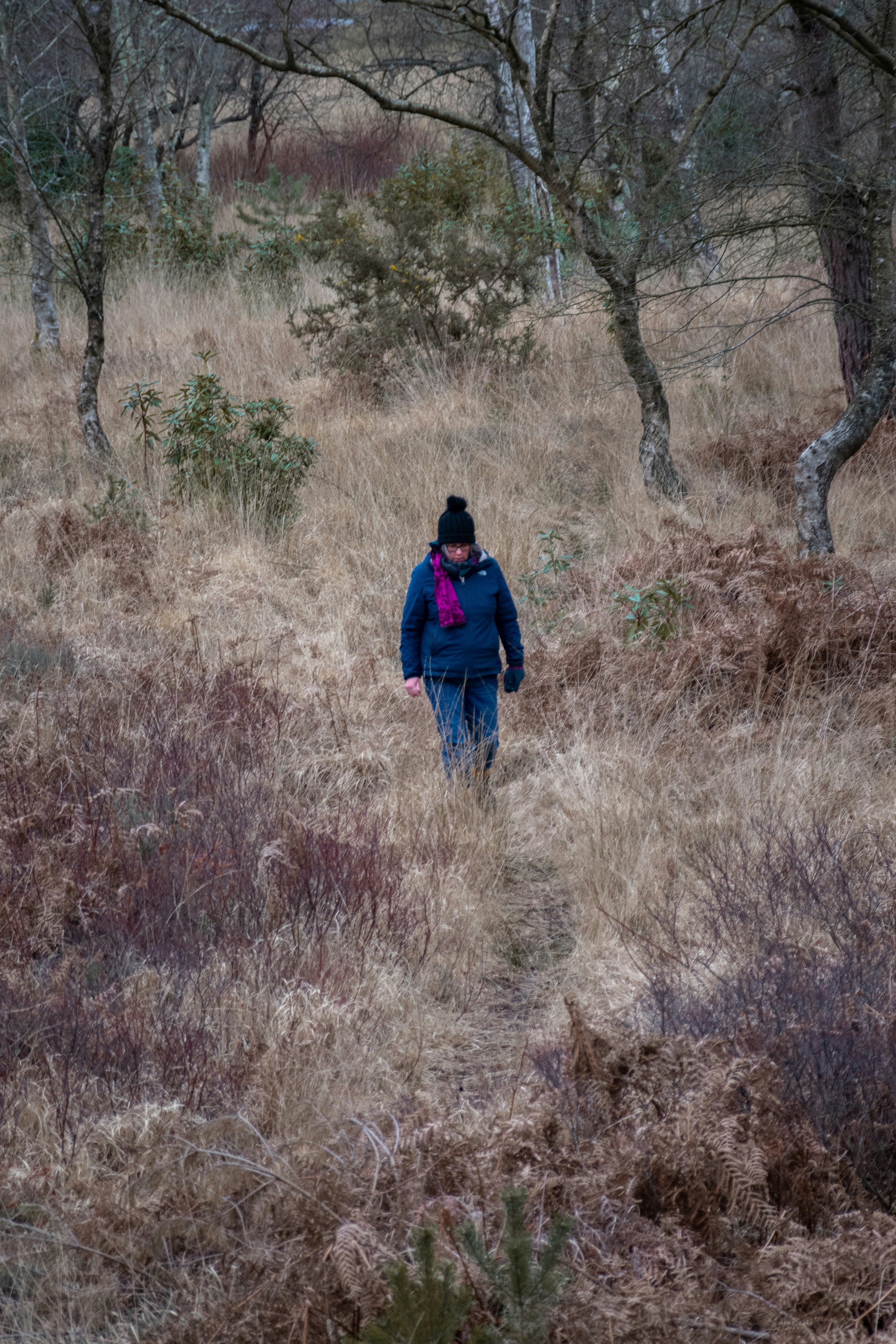 a woman in a blue jacket is walking through a field