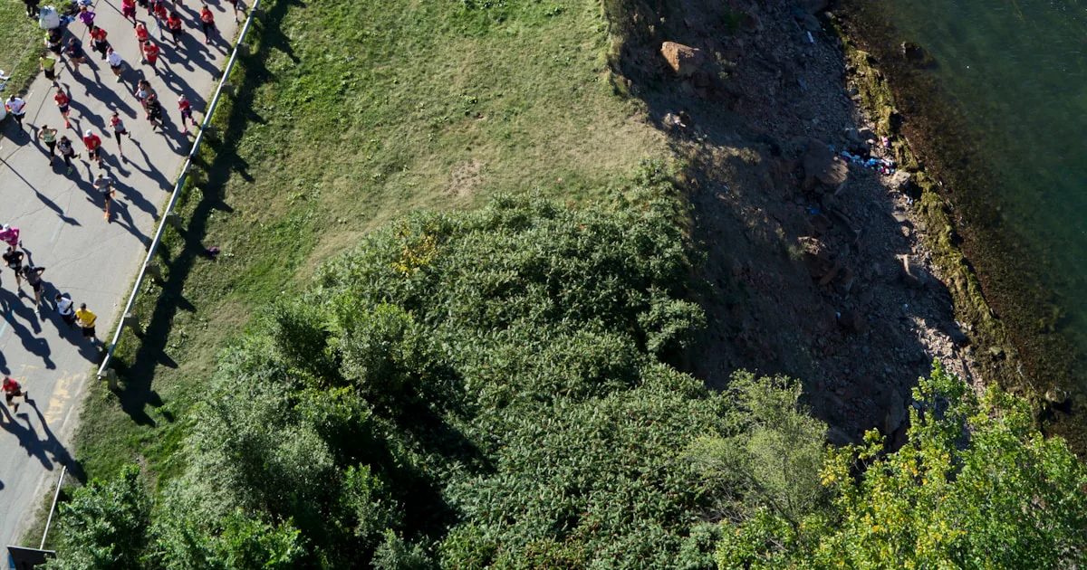 Featured image for Walkathon and Marathon 10 Must-Know Facts Tips for 2025